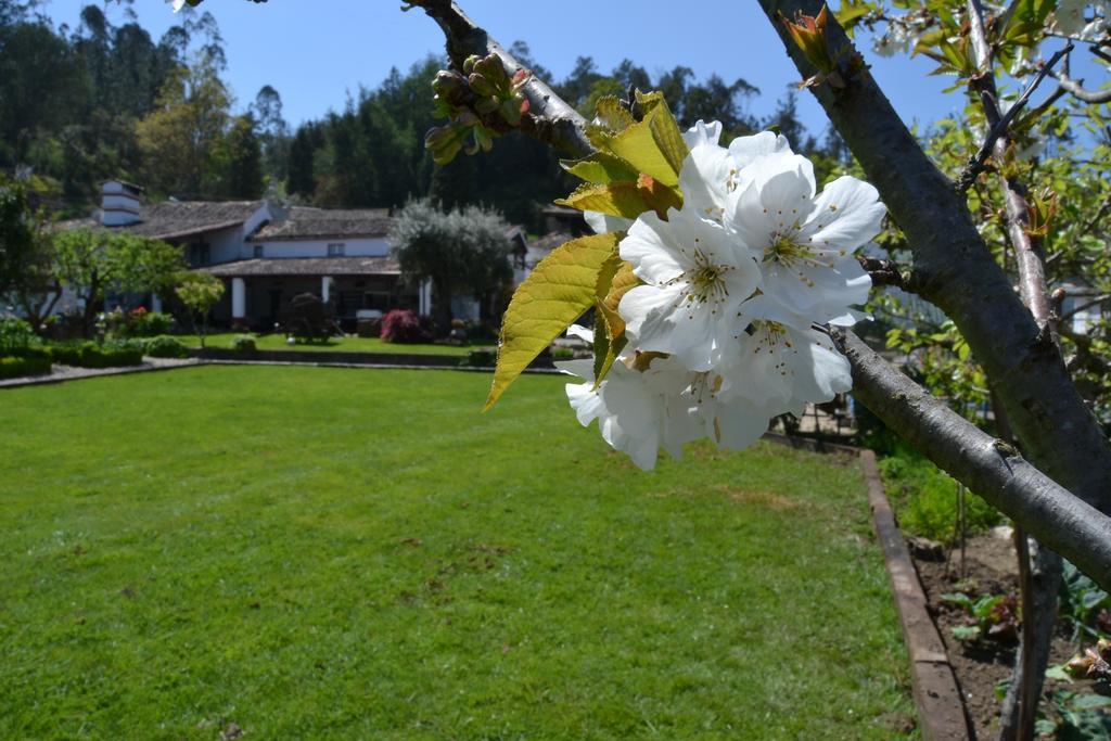 לאוסה Quintal De Alem Do Ribeiro-Turismo Rural מראה חיצוני תמונה