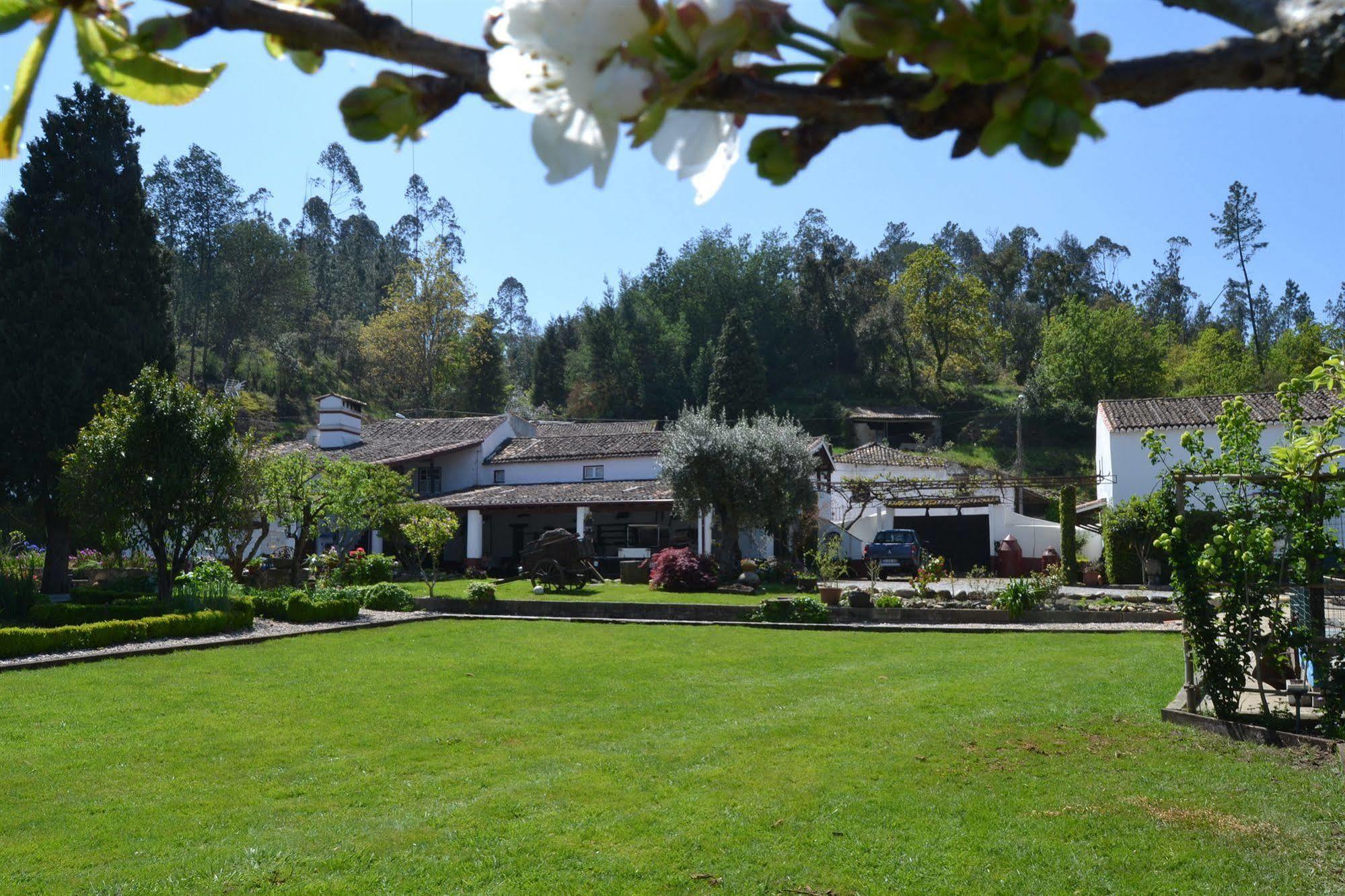 לאוסה Quintal De Alem Do Ribeiro-Turismo Rural מראה חיצוני תמונה